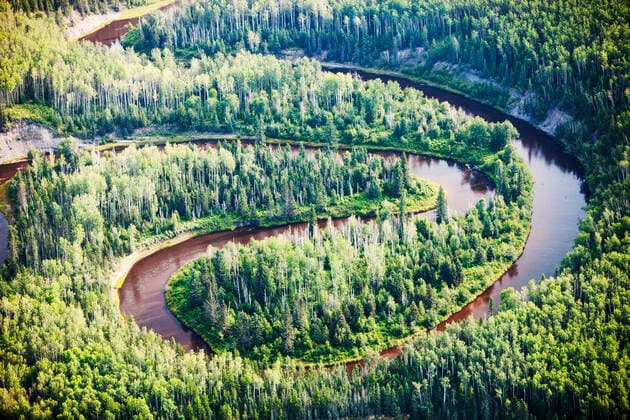 Boreal forest near Fort McMurray, Northern Alberta, Canada, August 2012.  1592020 AshleyxCooper