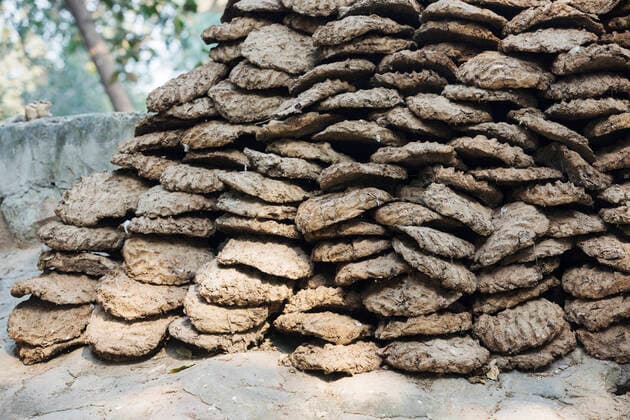 IMAGO Nature: Unsere Erde, Energiequellen, Biomasse Dried cow dung to be used as biofuel on fires for cooking in Delhi, India, December 2013.  1592048 AshleyxCooper