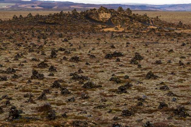 Eldhraun lava field, Iceland. Iceland Copyright: xSergioxPitamitzx SSH-RM-IS2111070079