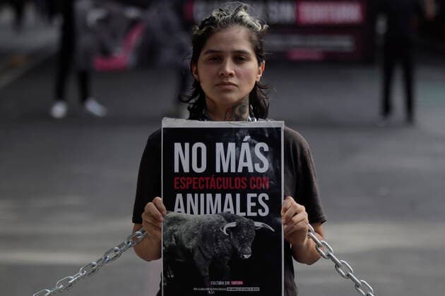 News Bilder des Tages Activists Demand An End To Bullfighting In Mexico City Member of a group in favor of animals, demonstrates in front of the facilities of GNP Seguros (partner and sponsor of Plaza MÃ xico) on Avenida de los Insurgentes in Mexico City, to demand an end to bullfighting in Mexico. Mexico City Mexico City Mexico  Copyright: xGerardoxVieyrax originalFilename: vieyra-notitle220617_npUc9.jpg