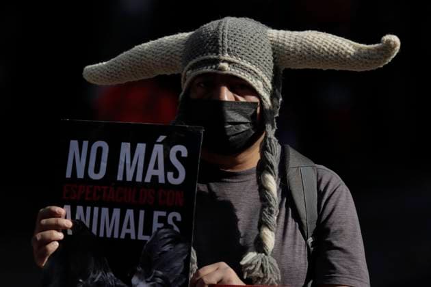 Activists Demand An End To Bullfighting In Mexico City Member of a group in favor of animals, demonstrates carrying a sign in front of the facilities of GNP Seguros (partner and sponsor of Plaza MÃ xico) on Avenida de los Insurgentes in Mexico City, to demand an end to bullfighting in Mexico. Mexico City Mexico City Mexico  Copyright: xGerardoxVieyrax originalFilename: vieyra-notitle220617_nphOW.jpg