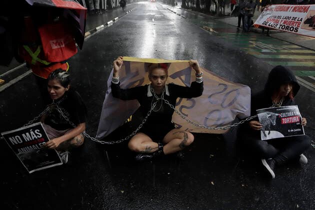 Activists Demand An End To Bullfighting In Mexico City Members of a group in favor of animals demonstrate chained in the rain in front of the facilities of GNP Seguros (partner and sponsor of Plaza MÃ xico) on Avenida de los Insurgentes in Mexico City, to demand an end to bullfights. bulls in Mexico. Mexico City Mexico City Mexico  Copyright: xGerardoxVieyrax originalFilename: vieyra-notitle220617_npKj9.jpg