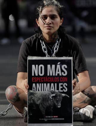 Activists Demand An End To Bullfighting In Mexico City Member of a group in favor of animals, demonstrates carrying a sign in front of the facilities of GNP Seguros (partner and sponsor of Plaza MÃ xico) on Avenida de los Insurgentes in Mexico City, to demand an end to bullfighting in Mexico. Mexico City Mexico City Mexico  Copyright: xGerardoxVieyrax originalFilename: vieyra-notitle220617_npO7r.jpg