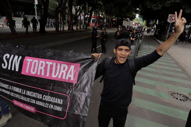 Activists Demand An End To Bullfighting In Mexico City Member of a group in favor of animals, they demonstrate in front of the facilities of GNP Seguros (partner and sponsor of Plaza MÃ xico) on Avenida de los Insurgentes in Mexico City, to demand an end to bullfighting in Mexico. Mexico City Mexico City Mexico  Copyright: xGerardoxVieyrax originalFilename: vieyra-notitle220617_npGGN.jpg
