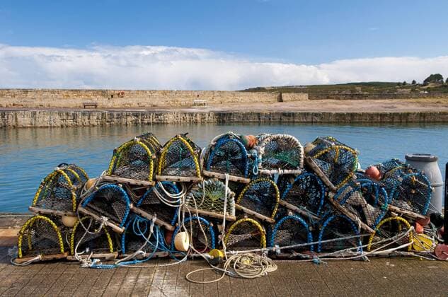 IMAGO Creative, Unsere Erde, Umweltverträgliche Herausforderungen des 21. Jahrhunderts, Überfischung Stapel von Hummertöpfen am Kai gestapelt, Hopeman Harbour, Morayshire, Schottland, März *** Stack from lobster pots on Kai stacked, Hopeman harbour, morayshire, Scotland, March Copyright: imageBROKER/FLPAx/xDavexPressland iblhoj05598228.jpg