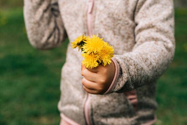 IMAGO Creative: UN Welt-Habitat-Tag am 3. Oktober Crop unrecognizable child in warm jacket demonstrating bunch of fresh yellow dandelions standing on green grassy meadow in nature, Model released OleksandraTroian_GirlWithGrennies_00011.jpg Copyright: xOleksandraxTroianx MR