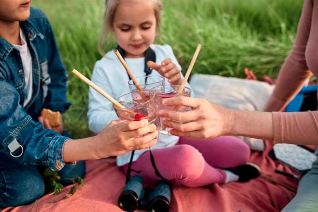 Mother and children toasting infused water glasses on picnic in field model released, Symbolfoto, ZEDF04566