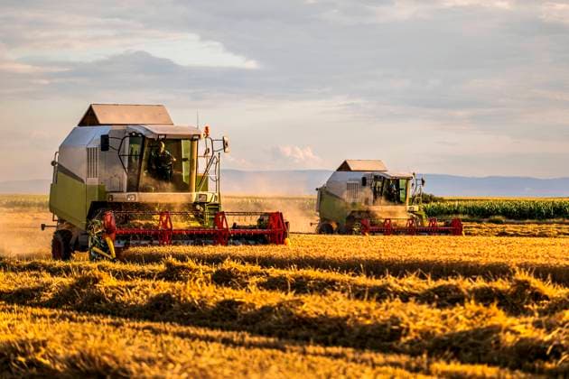 Farmers harvesting wheat with combine harvester at field model released, Symbolfoto, NOF00544
