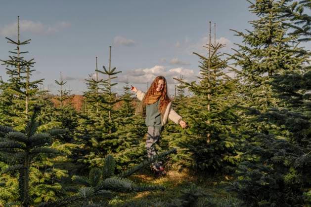 Happy girl with arms outstretched standing amidst fir tree farm model released, Symbolfoto, OGF01241