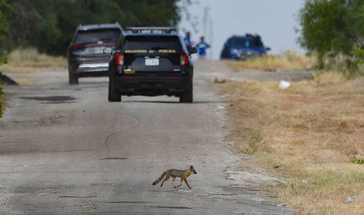 June 28, 2022, San Antonio, TX, USA: A fox crosses the road at the scene on Tuesday, June 28, 2022, the day after as many as 50 migrants died as a result of heat in a trailer at Quintana Road and Cassin in San Antonio. San Antonio USA - ZUMAa27_ 20220628_znn_a27_006 Copyright: xSanxAntonioxExpress-Newsx