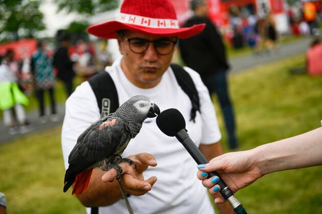 July 1, 2022, Ottawa, ON, CAN: Furkan Khan gets Jasper, his African Grey Congo Parrot, to give a TV reporteröÄÃ s microphone a kiss during an interview, as they wait for the start of Canada Day celebrations at Lebreton Flats in Ottawa, on Friday, July 1, 2022. Ottawa CAN  - ZUMAc35_ 20220701_zaf_c35_028 Copyright: xJustinxTangx