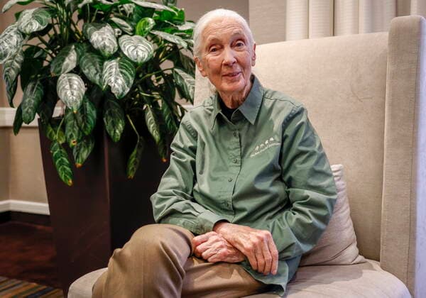 June 22, 2022, Calgary, AB, CANADA: Dr. Jane Goodall speaks during an interview in Calgary, Alta., Wednesday, June 22, 2022. Goodall says she s sharing a message of hope and a cry to action as she returns to the stage for live events. Calgary CANADA  - ZUMAc35_ 20220622_zaf_c35_145 Copyright: xJeffxMcintoshx