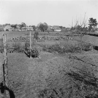 Anefo photo collection. Report Putten. World War II, gardens. October 29, 1945. Gelderland, Putten Copyright: xpiemagsx pienatarchpart1270921-48957 !ACHTUNG AUFNAHMEDATUM GESCHÄTZT!