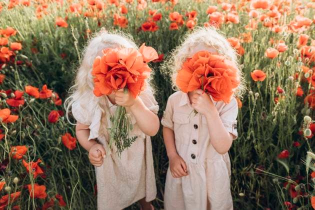 Girl with sister hiding face with flower in poppy field model released, Symbolfoto, SIF00170