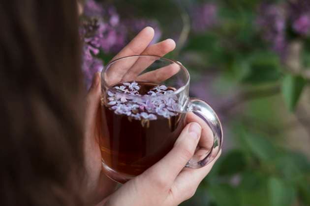 Hands of woman holding tea cup with lilac flowers model released, Symbolfoto, LLUF00724