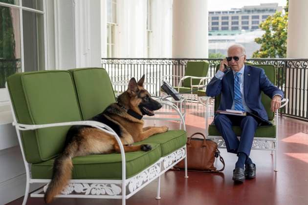 July 25, 2022, Washington, DC, United States of America: U.S President Joe Biden, talks on his mobile phone as his German Shepard Champ, relaxes on the couch, on the private balcony of the residence at the White House, July 25, 2022, in Washington, D.C. Biden continues to quarantine after testing positive for COVID-19. Washington United States of America - ZUMAp138 20220725_zaa_p138_001 Copyright: xAdamxSchultz WhitexHousex