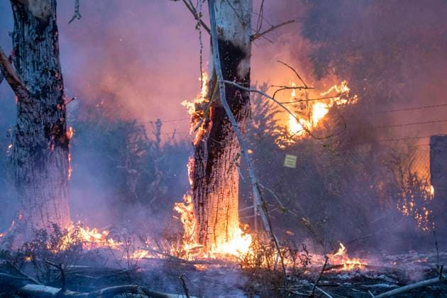 ID 627 Dramatische Szenen spielten sich am Montagabend im südbrandenburgischen Kölsa und deren Umgebung ab. Ein 12 Hektar großer Waldbrand entwickelte sich zu einer Katastrophe. Durch eine Unwetterfront, die in der Region kein Regen brachte, sondern viel Wind, mussten Kameraden vor dem Feuer flüchten. Ein regelrechter Feuersturm schoss aus den Wäldern. Wie der Kreisbrandmeister Landkreis Nordsachsen berichtete, blieb nur die Flucht. Der Feuersturm schoss aus dem Wald und Griff auf weitere Vegetationsbestände außerhalb des Waldes über. Auch ein großer Agrarbetrieb fing Feuer. Die Kameraden haben den Brand auch Stunden nach dem Sturm nicht unter Kontrolle. Überall brennen noch die Wälder. Bauern schaffen tausende Liter an Löschwa