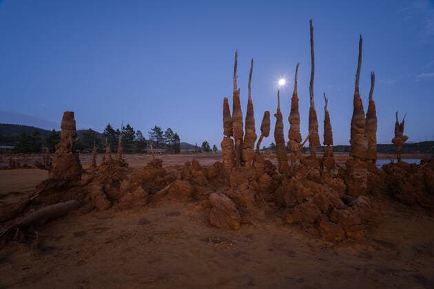 Creative Highlights World View dead trees at lakeshore against sky during evening JuanLopez_DryTrees_8.jpg Copyright: xJuanxLopezx Model Released