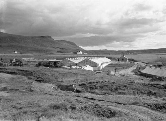 Poll photo collection. Iceland. Reykir. Greenhouses with agricultural crops in between on the cold ground at the foot of a mountain ridge. 1934. Iceland, Reykir Copyright: xpiemagsx pienatarchpart630102021-18708 !ACHTUNG AUFNAHMEDATUM GESCHÄTZT!