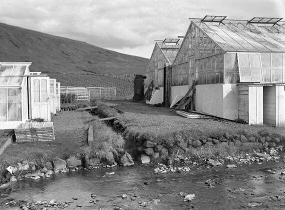 Poll photo collection. Iceland. Reykir. Greenhouse shafts with behind it agricultural crops on the cold land. In the foreground a stream with hot water. 1934. Iceland, Reykir Copyright: xpiemagsx pienatarchpart630102021-18709 !ACHTUNG AUFNAHMEDATUM GESCHÄTZT!