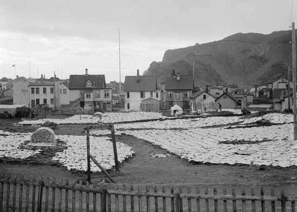 Poll photo collection. Iceland. Iceland. A terrain on the edge of a town where stickfish is drying on the ground. 1934. Iceland Copyright: xpiemagsx pienatarchpart630102021-18748 !ACHTUNG AUFNAHMEDATUM GESCHÄTZT!