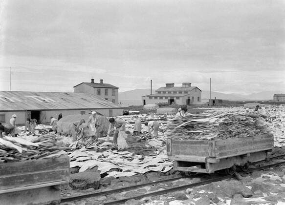 Poll photo collection. Iceland. Iceland. Workers in a field in the middle of drying sticky. A lorry with sticky loaded on a narrow track. 1934. Iceland Copyright: xpiemagsx pienatarchpart630102021-18752 !ACHTUNG AUFNAHMEDATUM GESCHÄTZT!