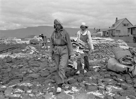 Poll photo collection. Iceland. Iceland. Women s freshly stroking fish on a berrie over a terrain where stickfish is drying. 1934. Iceland Copyright: xpiemagsx pienatarchpart630102021-18757 !ACHTUNG AUFNAHMEDATUM GESCHÄTZT!
