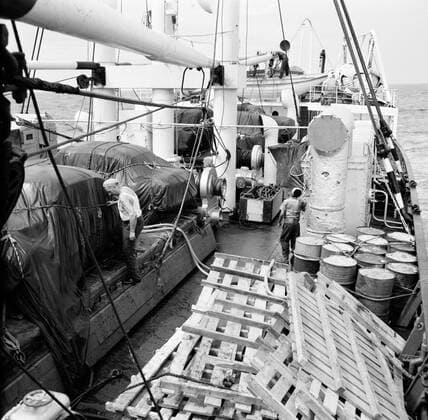 Poll photo collection. Netherlands Antilles and Suriname at the time of the royal visit of Queen Juliana and Prince Bernhard in 1955. The cargo of the MS. Nestor on the way to Suriname. October 1, 1955 Copyright: xpiemagsx pienatarchpart630102021-23026 !ACHTUNG AUFNAHMEDATUM GESCHÄTZT!