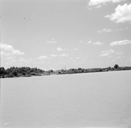 Poll photo collection. Netherlands Antilles and Suriname at the time of the royal visit of Queen Juliana and Prince Bernhard in 1955. Coastal face in Suriname, seen from the MS. Nestor. October 1, 1955. Suriname Copyright: xpiemagsx pienatarchpart630102021-23049 !ACHTUNG AUFNAHMEDATUM GESCHÄTZT!