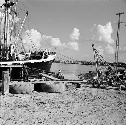 Poll photo collection. Netherlands Antilles and Suriname at the time of the royal visit of Queen Juliana and Prince Bernhard in 1955. Cargo ship the MS. Nestor in the port of Paramaribo. October 1, 1955. Suriname Copyright: xpiemagsx pienatarchpart630102021-23050 !ACHTUNG AUFNAHMEDATUM GESCHÄTZT!