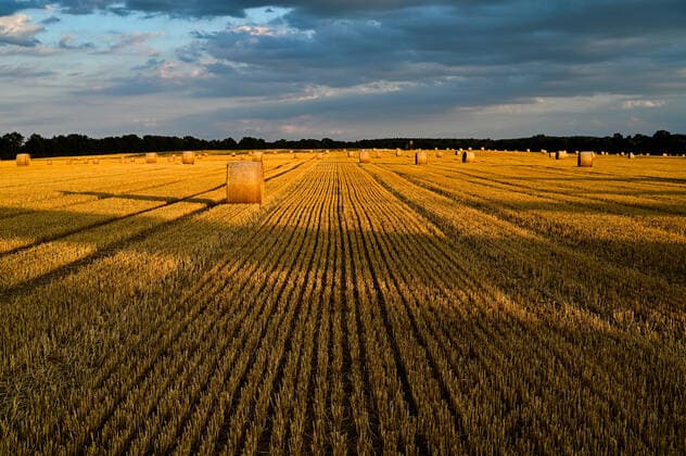 Tourismus Musik Reisen Architeltur Geschichte 30.07.2022 Uetz-Paaren ist ein Ortsteil der Brandenburger Landeshauptstadt Potsdam Landkreis Havelland im Land Brandenburg Ernte Stroh Strohballen Abendstimmung Sommerabend Uetz Paaren Ernte Brandenburg Deutschland *** Tourism Music Travel Architeltur History 30 07 2022 Uetz Paaren is a district of the Brandenburg state capital Potsdam Landkreis Havelland in the state of Brandenburg harvest straw bales evening atmosphere summer evening Uetz Paaren harvest Brandenburg Germany