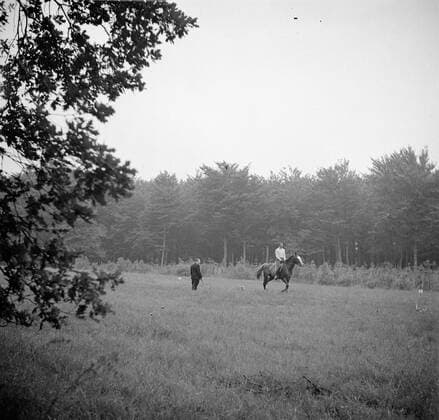 Poll photo collection. The royal family at Soestdijk Palace. Prince Bernhard drives horse in the park of the palace. { ca. 1947 }. Baarn, Utrecht (province) Copyright: xpiemagsx pienatarchpart72010201-16144 !ACHTUNG AUFNAHMEDATUM GESCHÄTZT!