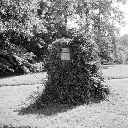 Poll photo collection. The royal family at Soestdijk Palace. Stronage of the Z.G. Totleben oak in the park of the palace. July 1947. Baarn, Utrecht (province) Copyright: xpiemagsx pienatarchpart72010201-16213 !ACHTUNG AUFNAHMEDATUM GESCHÄTZT!