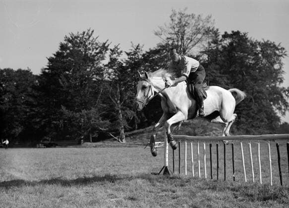 Poll photo collection. Prince Bernhard as a jumping rider. Prince Bernhard jumps with his horse over an obstacle. undated Copyright: xpiemagsx pienatarchpart72010201-16306 !ACHTUNG AUFNAHMEDATUM GESCHÄTZT!