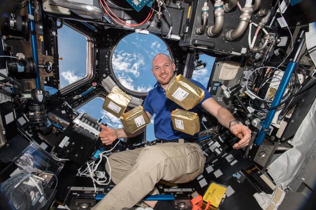 iss056e181703 (9 21 2018) --- European Space Agency (ESA) astronaut Alexander Gerst holding Earth Guardian Seeds, in the Cupola Module aboard the International Space Station (ISS). ESA-EPO-Gerst Earth Guardian Seeds (Earth Guardian Seeds) experiment is intended to teach students the importance of biodiversity and the protection of species, as well as, inspire curiosity for the natural and environmental sciences. Wildflower seeds are flown to the International Space Station (ISS), returned to Earth, and distributed to schools in Germany. The seeds are grown and their development is compared to grown seeds that remained on Earth. Copyright: xpiemagsx piemagsspace-148109 !ACHTUNG AUFNAHMEDATUM GESCHÄTZT!