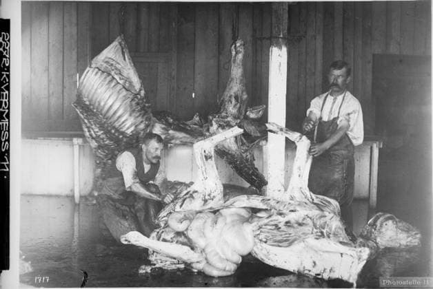 Carcass processing Probably near the Campolongo pass, Trentino; photographer: Kriegsvermessung 5. Copyright: xpiemagsx ausnl080421-1257 !ACHTUNG AUFNAHMEDATUM GESCHÄTZT!