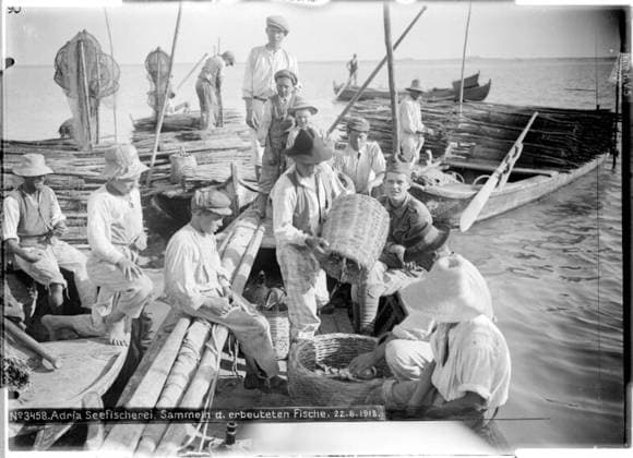 Fishing in the Adriatic Collecting the caught fish; Adriatic, Veneto; photographer: Kriegsvermessung 5. Copyright: xpiemagsx ausnl080421-1279 !ACHTUNG AUFNAHMEDATUM GESCHÄTZT!