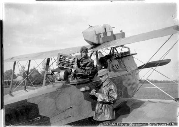 Pilot receives carrier pigeons Probably Veneto; photographer: Kriegsvermessung 5. Copyright: xpiemagsx ausnl080421-1281 !ACHTUNG AUFNAHMEDATUM GESCHÄTZT!