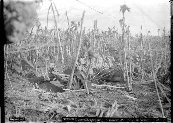 Artillery position in a maize field in Veneto Photographer: Kriegsvermessung 5. Copyright: xpiemagsx ausnl080421-1313 !ACHTUNG AUFNAHMEDATUM GESCHÄTZT!
