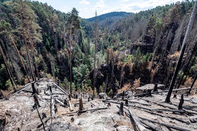 Bilder des Jahres 2022, News 08 August News Themen der Woche KW32 News Bilder des Tages The burnt forests in the Ceske Svycarsko (Czech Switzerland) National Park, Czech Republic, August 9, 2022. On the photo there is the Long Mine above the Edmund (Silent) Gorge, where he is guarding part of the first area handed over by the firefighters to the park administration after the firefighting is finished. (CTKxPhoto OndrejxHajek) CTKPhotoP2022080904345  HAJ 16