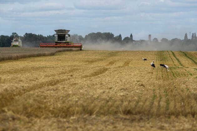 News Themen der Woche KW32 News Bilder des Tages Harvesting Of Wheat In The Kyiv Region The grain harvester collects wheat on the field near the village of Zgurivka in the Kyiv region, while Russia continues the war against Ukraine. August 9, 2022 Kyiv Ukraine  Copyright: xMaxymxMarusenkox originalFilename: musienko-notitle220809_npOnZ.jpg