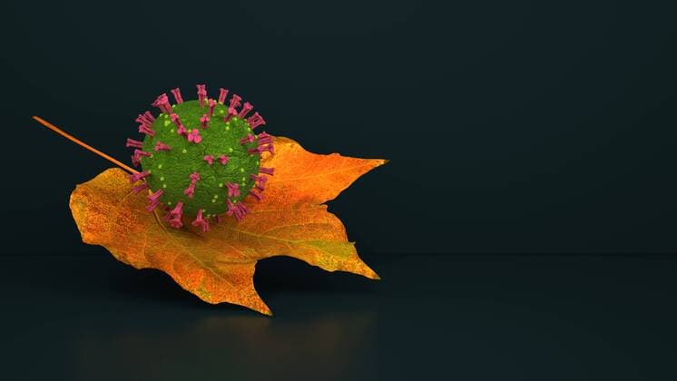 Coronavirus Variant In Autumn A coronavirus on a maple leaf. 3d illustration.