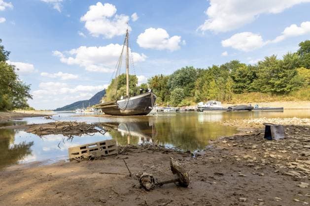Bilder des Jahres 2022, News 08 August News Themen der Woche KW32 News Bilder des Tages Der freigelegte Aalschokker Aranka im Toten Arm der Insel - Niedrigwasser in Bad Honnef an der Insel Grafenwerth bei Rheinpegel 88cm (Pegel Bonn) Aufgrund der akuten Hitze und Regenmangel werden am Ufer großflächiger Sand und Kiesflächen freigelegt. Die Schifffahrt ist stark eingeschränkt. 14.08.2022 Bad Honnef Insel Grafenwerth NRW Deutschland *** The exposed eel scokker Aranka in the dead arm of the island low water in Bad Honnef at the island Grafenwerth at Rhine level 88cm gauge Bonn Due to the acute heat and lack of rain, large areas of sand and gravel are exposed on the shore Navigation is severely restricted 14 08 2022 Bad Honnef Island Grafenwerth NRW Germany