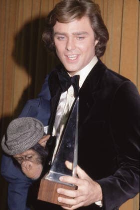 Greg Evigan at the 1980 People s Choice Awards Copyright: xRalphxDominguez MediaPunchx