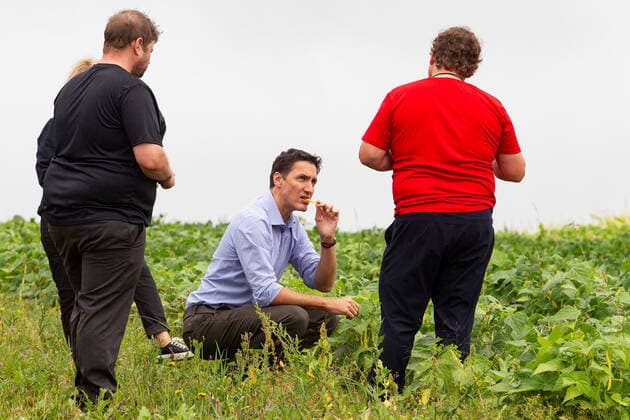 August 18, 2022, St-Simeon, PQ, CANADA: Prime Minister Justin Trudeau, centre, tours a a field where strawberries and rhubarb are grown at Ferme Bourdages farm in St-Simeon, Quebec on Thursday Aug. 18, 2022. Trudeau continued his summer politicking tour Thursday with a trip to Quebec s Gaspe Peninsula. St-Simeon CANADA  - ZUMAc35_ 20220818_zaf_c35_040 Copyright: xRonxWardx