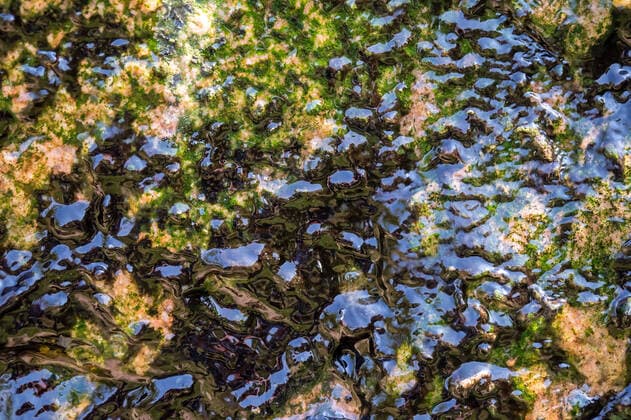 Creative Highlights World Wassersteinbrunnen: Erfrischung an heißen Tagen - 17.08.2022: Symbolbild: Trinkwasser - Ein sprudelnder Wassersteinbrunnen gehört zu den absoluten Highlights im Garten. Das kühle Nass sorgt für Erfrischung an heißen Tagen. Gut für Mensch, Tier und Pflanzen. (Foto: Imago Roland Hartig) Ribnitz-Damgarten Mecklenburg-Vorpommern Deutschland *** Water stone fountain Refreshment on hot days 17 08 2022 Symbol image drinking water A bubbling water stone fountain is one of the absolute highlights in the garden The cool wet provides refreshment on hot days Good for people, animals and plants Photo Imago Roland Hartig Ribnitz Damgarten Mecklenburg Vorpommern Germany