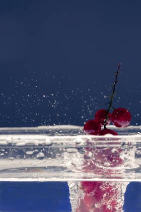 Johannisbeeren fallen in Wasser *** Currants Traps in Water 1073701463