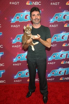 America s Got Talent season 17 live show red carpet event at Sheraton Pasadena Hotel Featuring: Simon Cowell Where: Pasadena, California, United States When: 23 Aug 2022 Credit: Faye s Vision Cover Images Copyright: xx 51907060 EDITORIAL USE ONLY. NOT FOR USE BY NEWSPAPERS BASED IN THE UK.