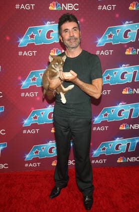 America s Got Talent season 17 live show red carpet event at Sheraton Pasadena Hotel Featuring: Simon Cowell Where: Pasadena, California, United States When: 23 Aug 2022 Credit: Faye s Vision Cover Images Copyright: xx 51907059 EDITORIAL USE ONLY. NOT FOR USE BY NEWSPAPERS BASED IN THE UK.