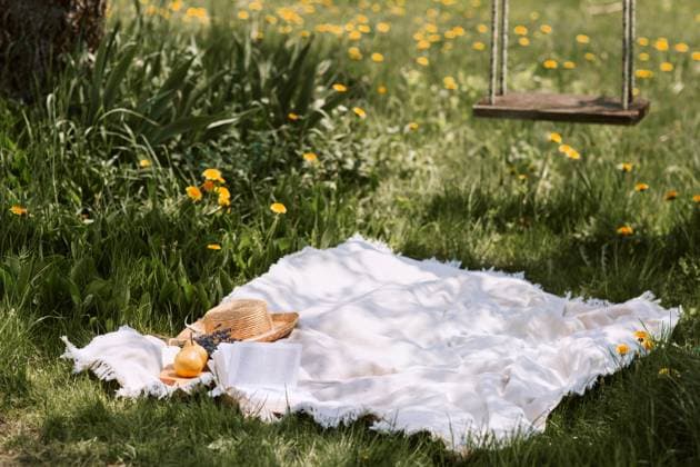 garten,picknick,picknickdecke,landpartie,gartenanlage,gartenanlagen,gärten *** garden,picnic,picnic blanket,outing,gardens,picnics,picnic blankets 539-jd1